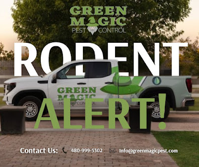 pest control Chandler AZ photo