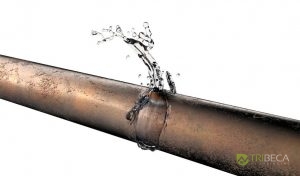 commercial plumbing Dallas photo