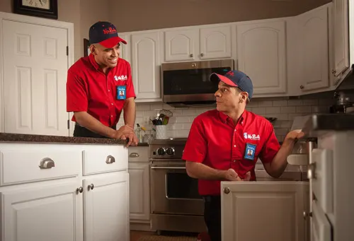 garbage disposal replacement Dallas photo