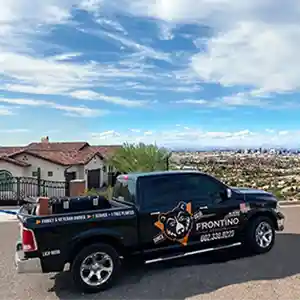 pest control near me photo