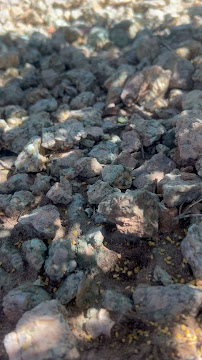 bed bug treatment in Queen Creek photo