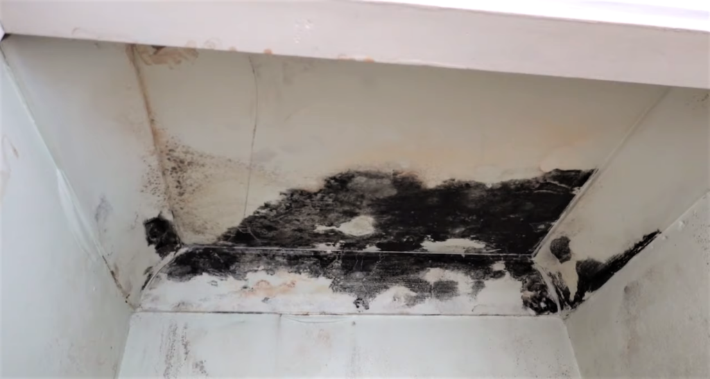 water damage restoration company in North Houston photo