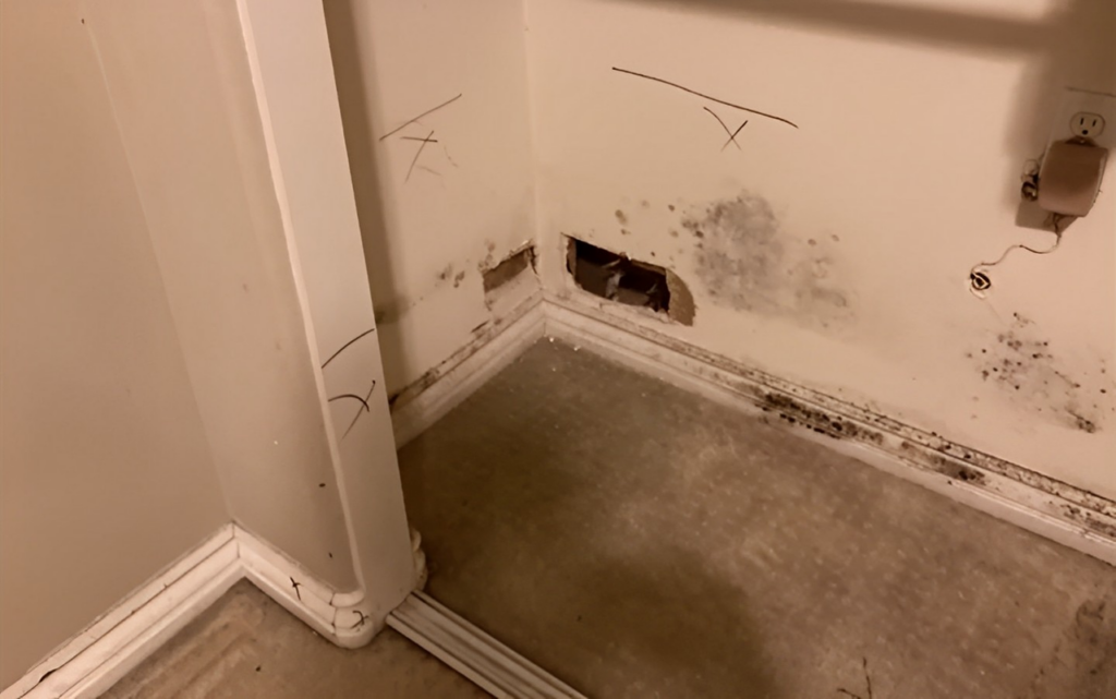 water damage restoration company in North Houston photo