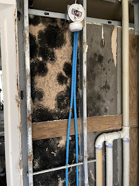 residential mold removal in Central Houston