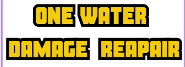 water damage cleanup company Littleton