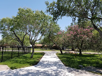 concrete driveway installation San Antonio photo