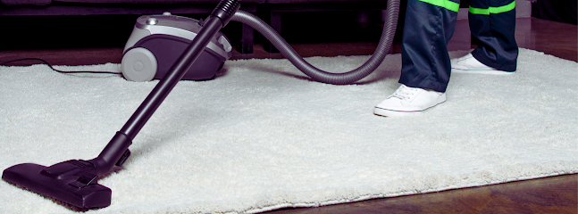 carpet stain removal Dallas photo