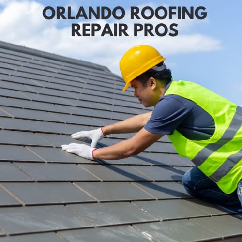 best roofer in Florida photo