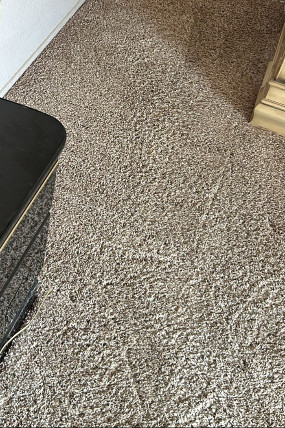 Dallas carpet cleaning service photo
