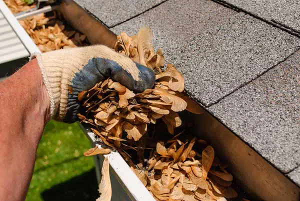 commercial gutter cleaning Mountain View photo