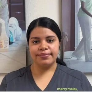 holiday cleaning service Avondale photo