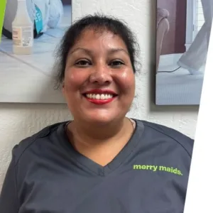 holiday cleaning service Avondale photo