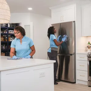 recurring cleaning near Carefree photo