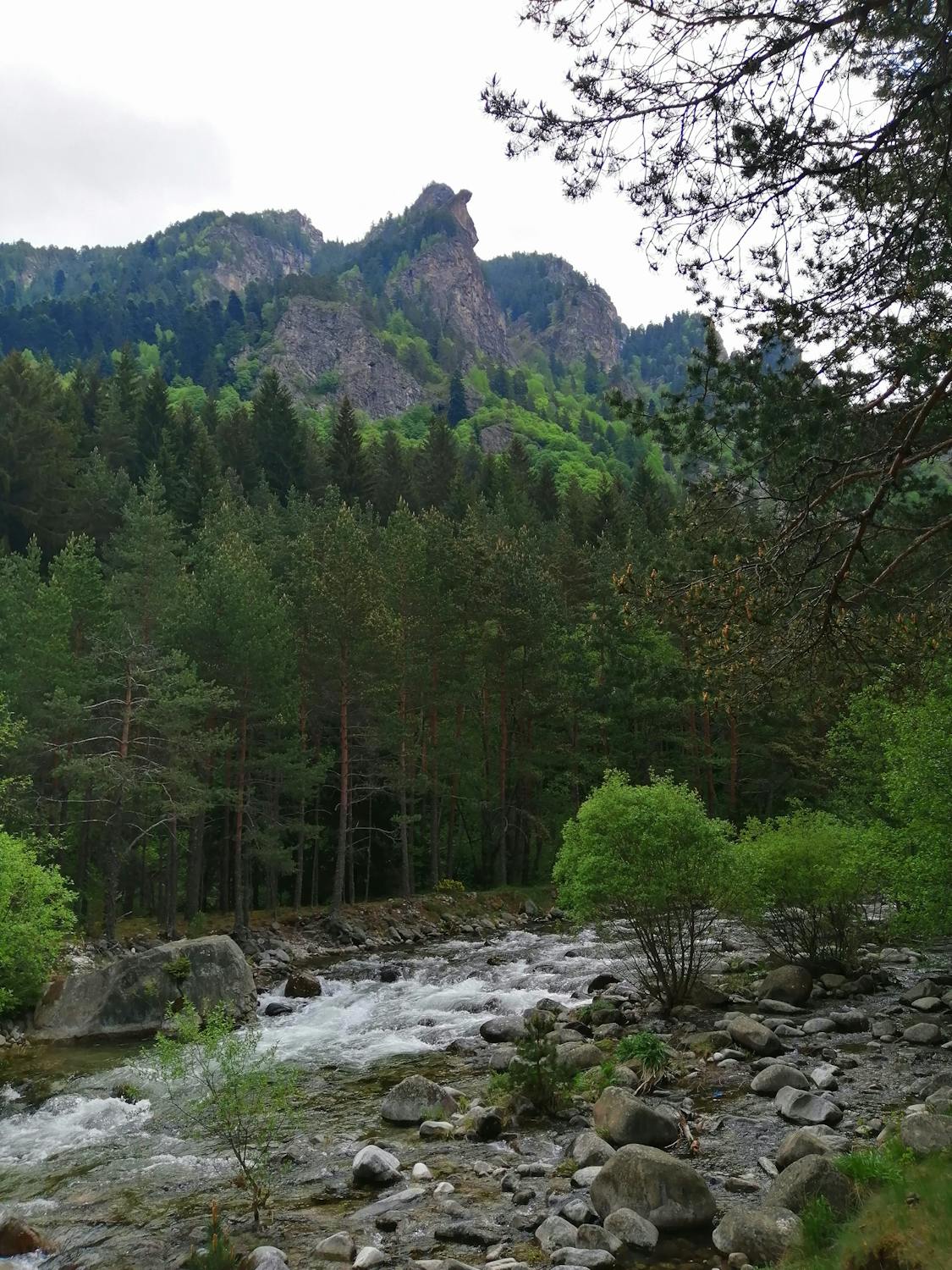 oil stain removal driveway Atherton photo