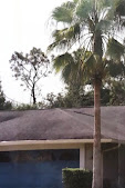 affordable pressure cleaning Tampa photo