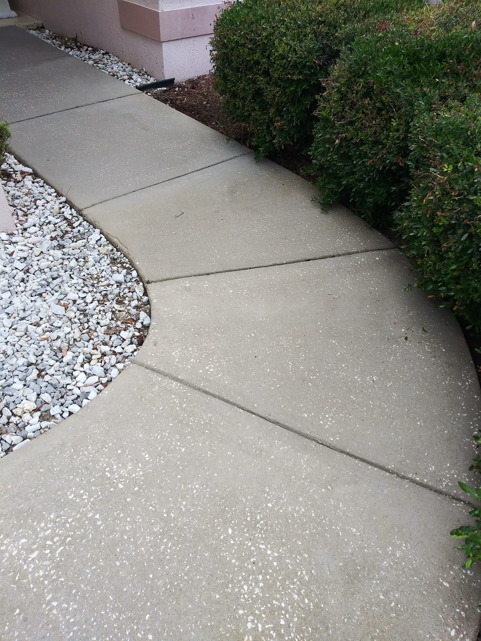 sidewalk cleaning Hillsborough County photo