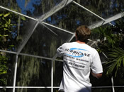house washing Brandon photo