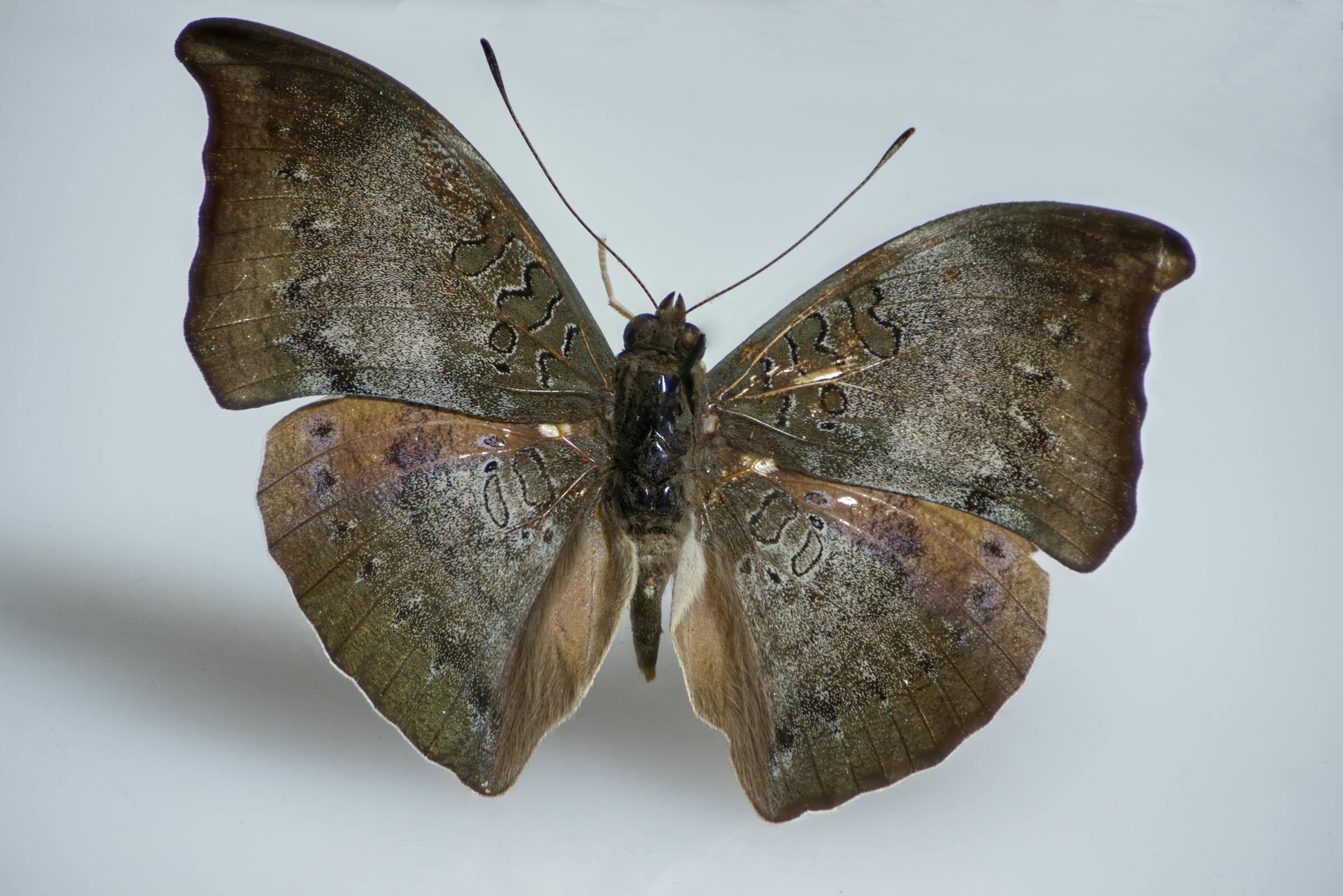 heating and air conditioning repair in All Seasons Heating & Air, Inc. photo