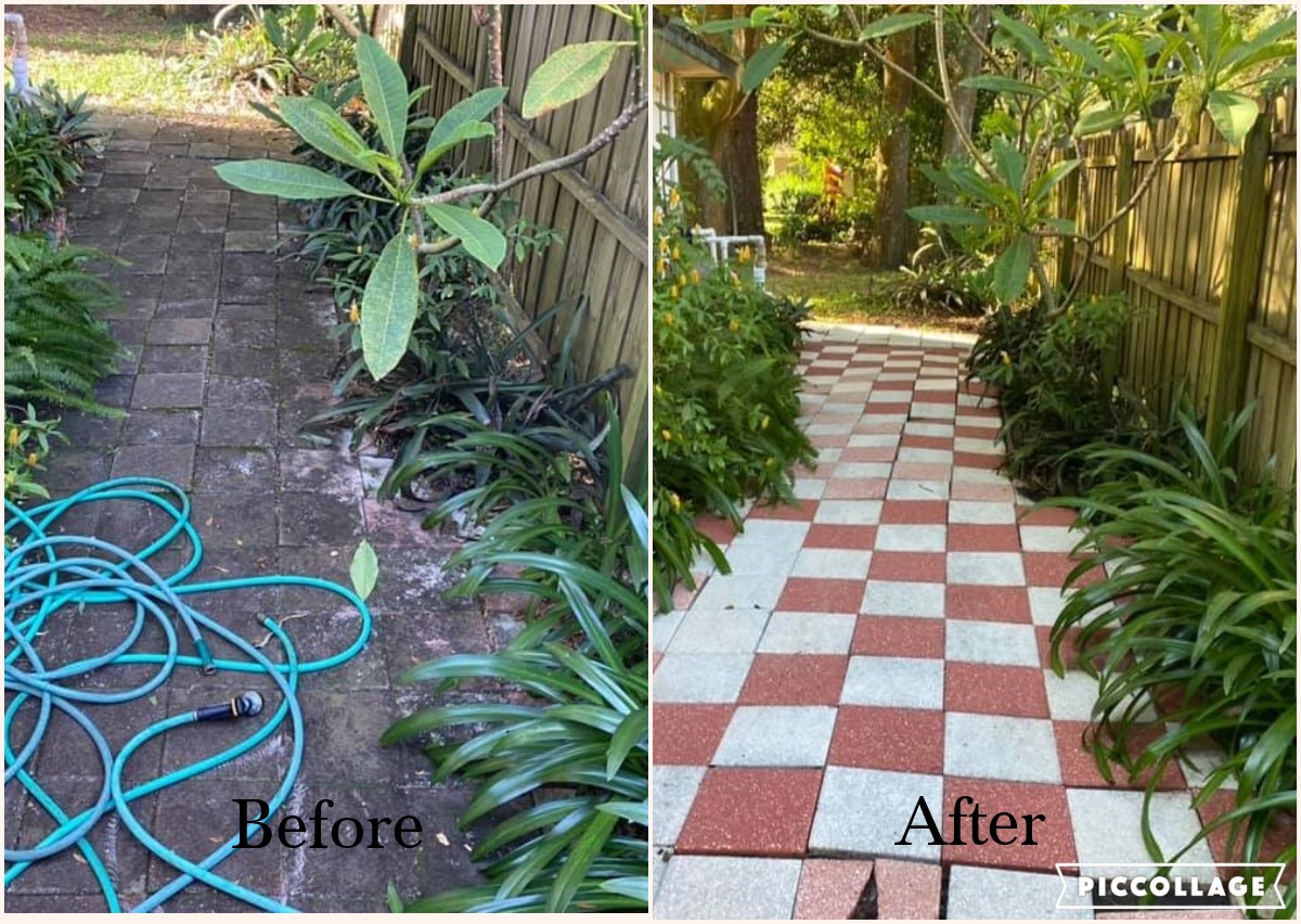 soft wash roof cleaning Florida photo