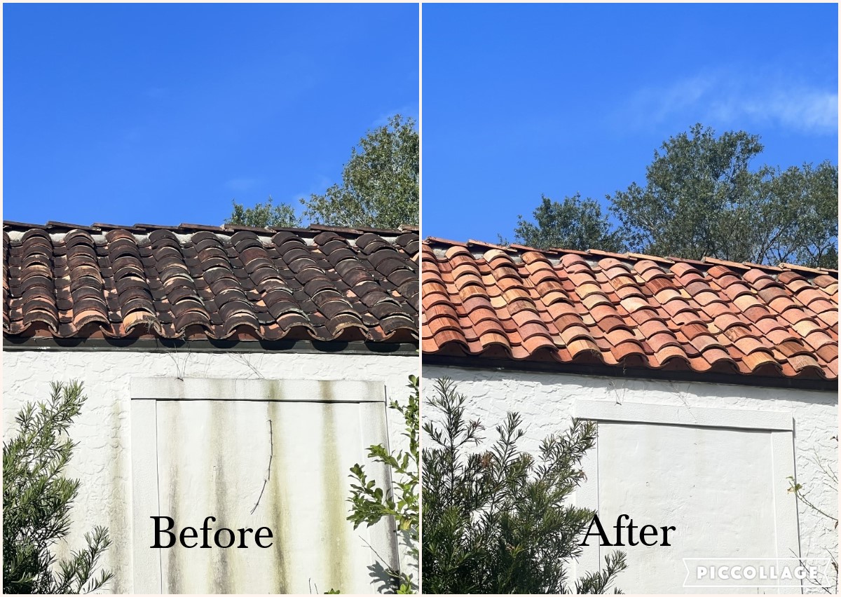soft wash roof cleaning Florida photo