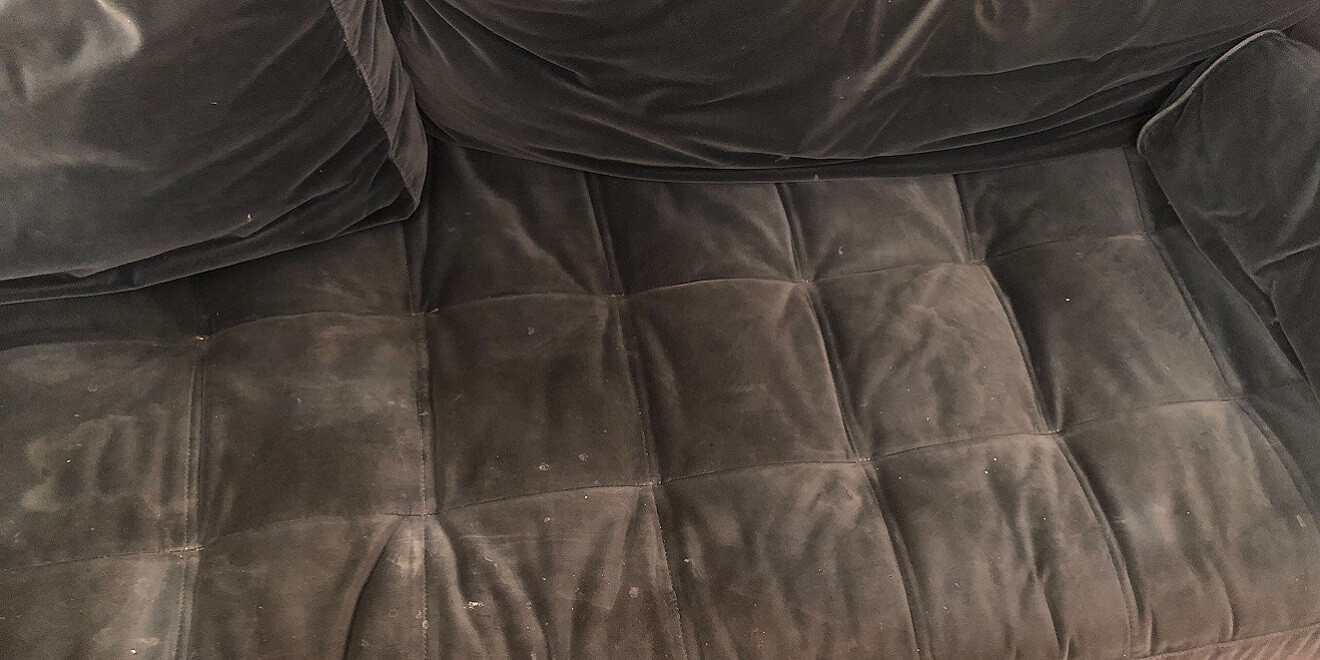 best rug cleaning Long Island photo