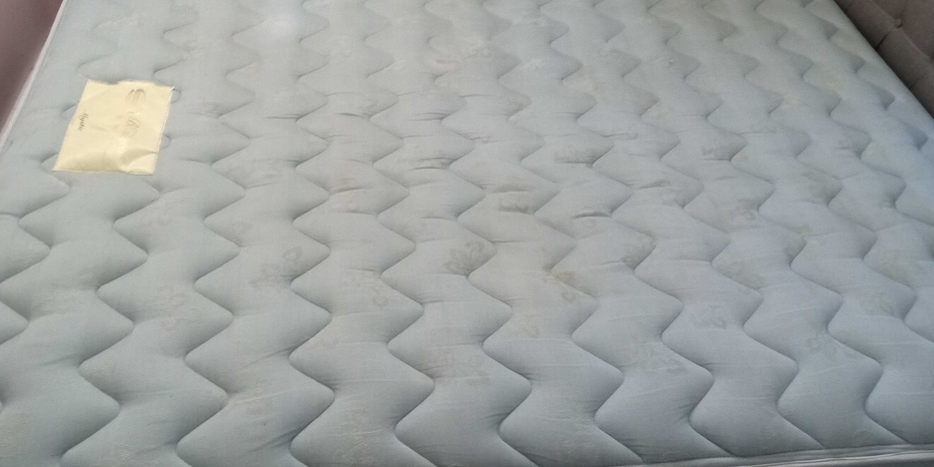 best rug cleaning Long Island photo