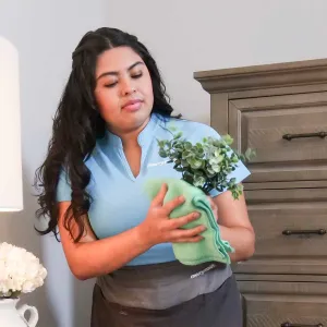 seasonal cleaning in Cypress TX photo