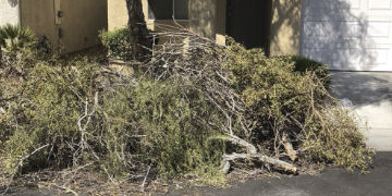 commercial cleanout Las Vegas photo