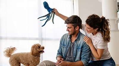 Pelle Heating & Air Conditioning photo