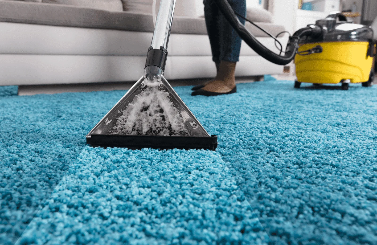 professional carpet cleaners near me