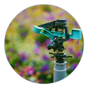 experienced landscapers in San Jose photo