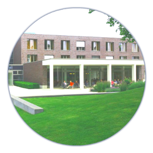 experienced landscapers in San Jose photo