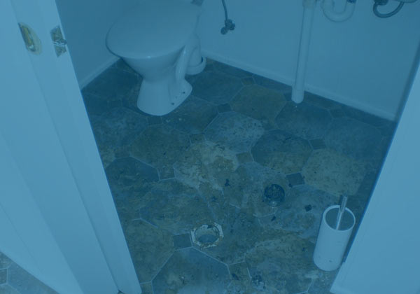 mold removal and remediation IL photo