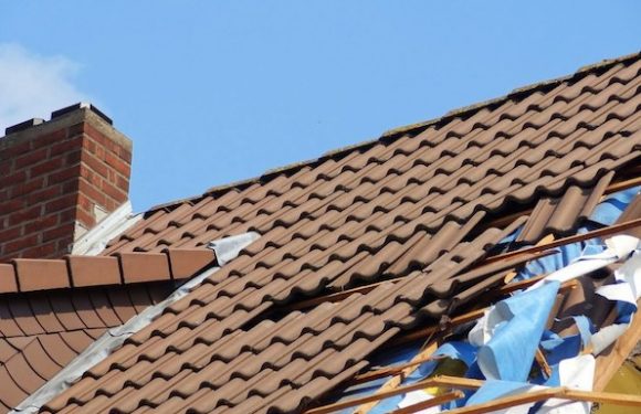 mold removal and remediation IL photo