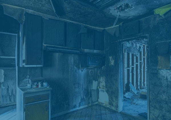 mold removal and remediation IL photo