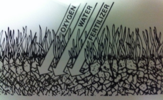 professional grub control Berkeley photo