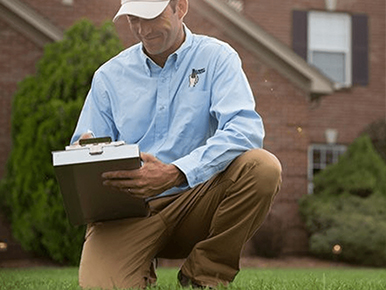 reliable lawn care specialists Tier one lawn care Llc photo