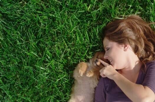 reliable lawn care specialists Tier one lawn care Llc photo