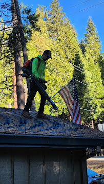 hoarding clean out El Dorado County