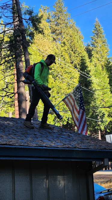 hoarding clean out El Dorado County photo
