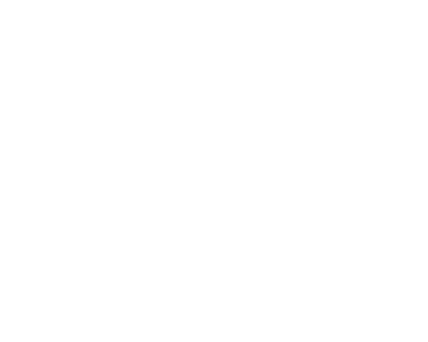 Chicagoland home inspection photo