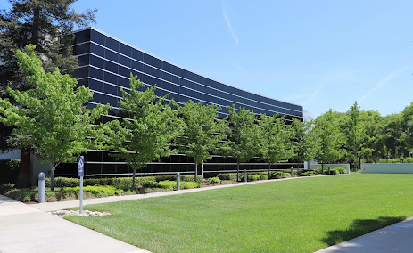 tree care services San Jose photo