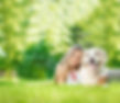 Green Rabbit photo