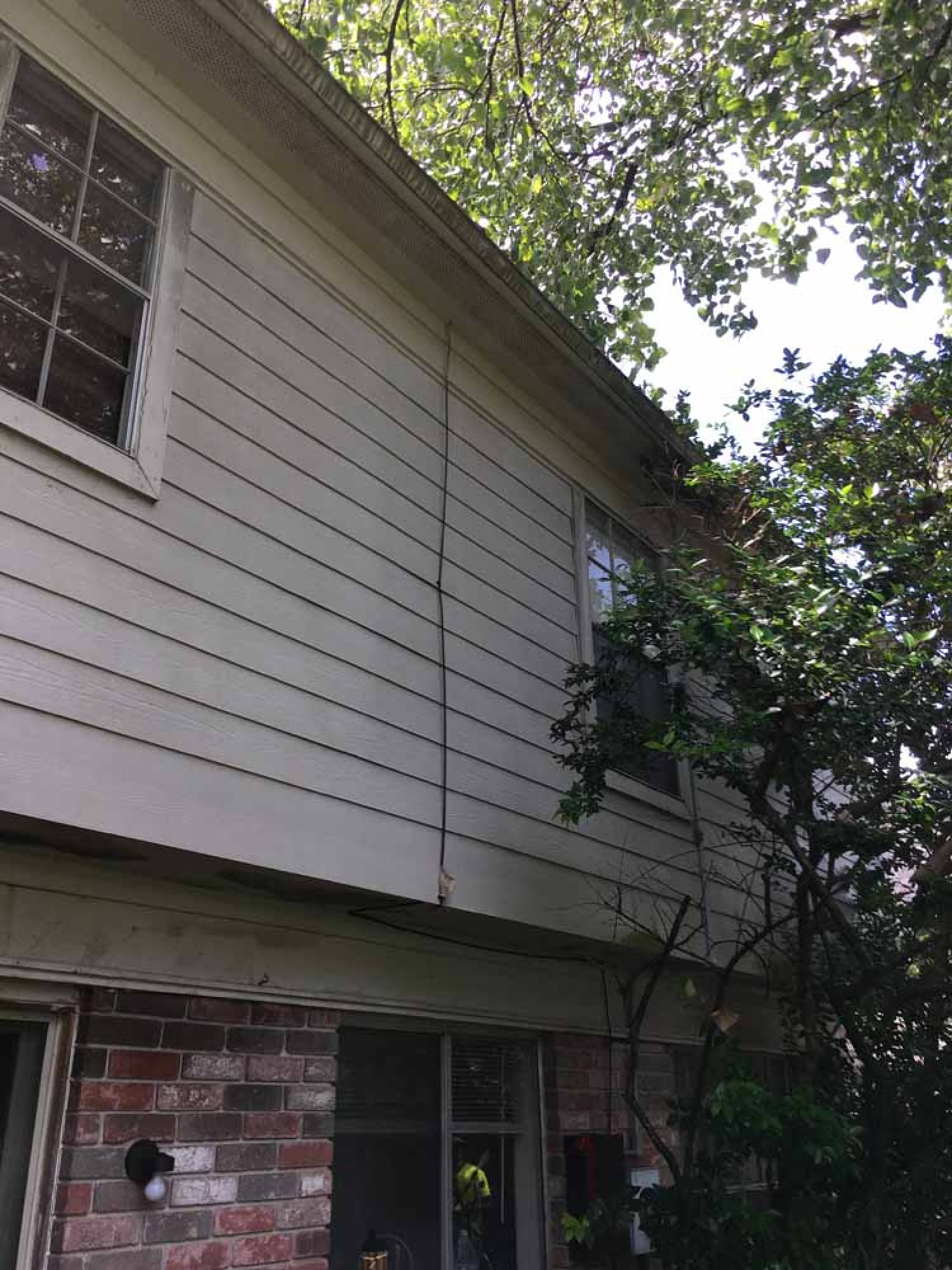affordable window cleaning Houston photo