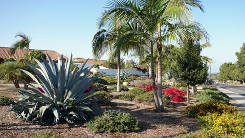 commercial lawn care in London Lawn Care Service photo
