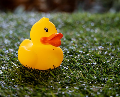 commercial turf cleaning San Diego photo