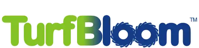 artificial grass cleaning service near me photo