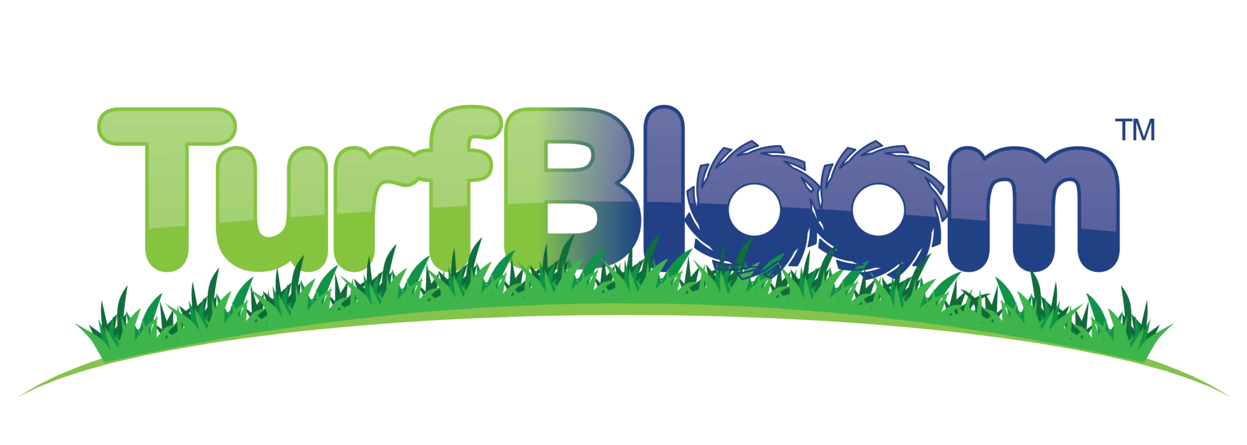 artificial grass cleaning service near me photo