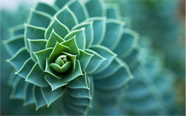 landscape maintenance for apartments near me photo