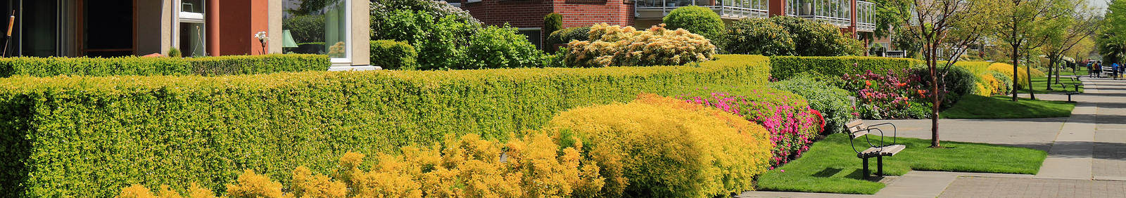 green landscape management Mountain House photo